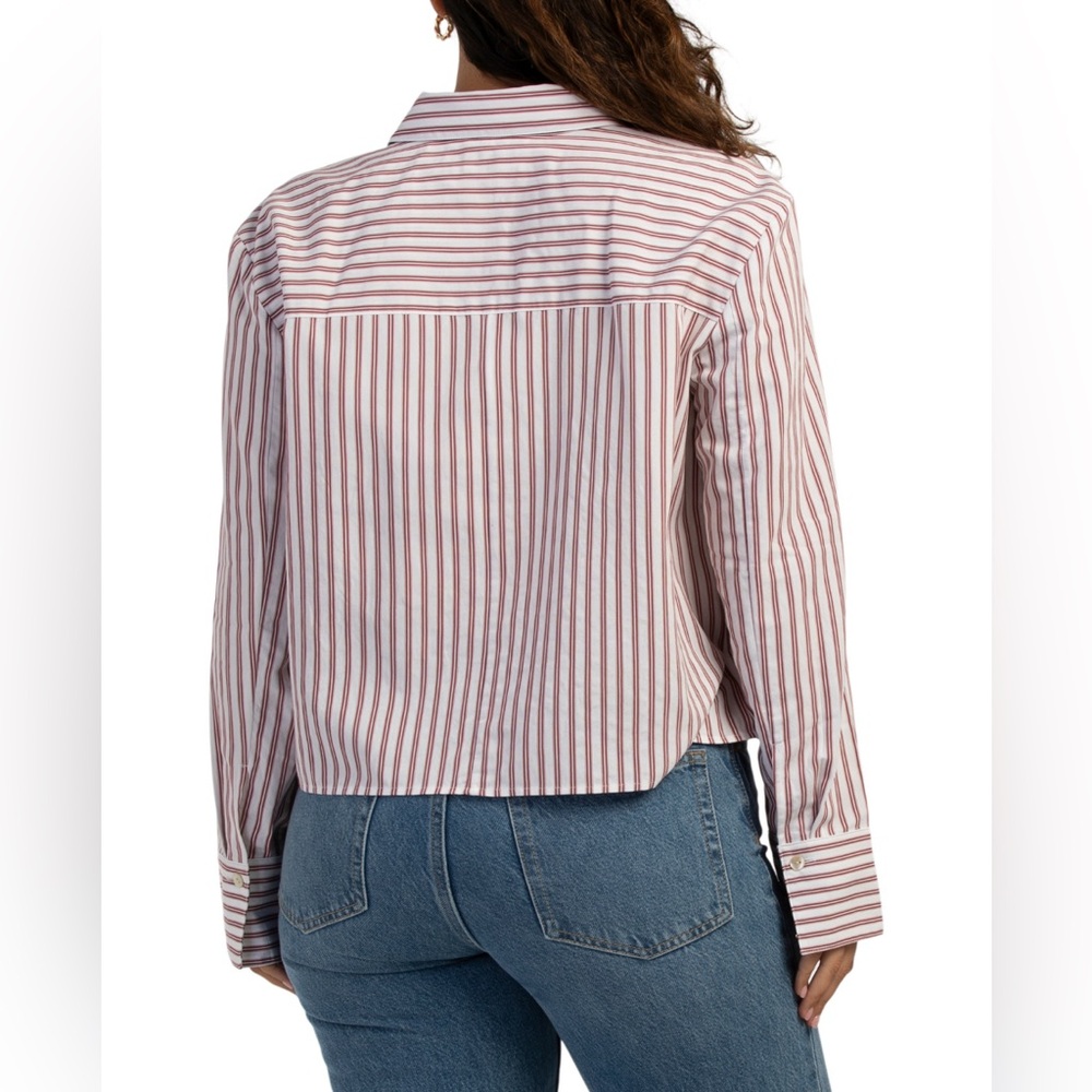 VINCE
Till Stripe Cropped Button Down Tops
 large & Medium - Picture 2 of 9
